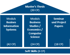 Structure of the Master's programme